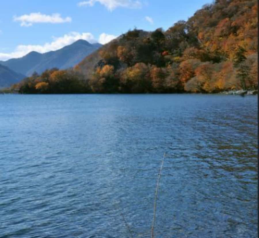 From Tokyo:Nikko World Heritage Customizable Tour with Guide - Transportation and Comfort