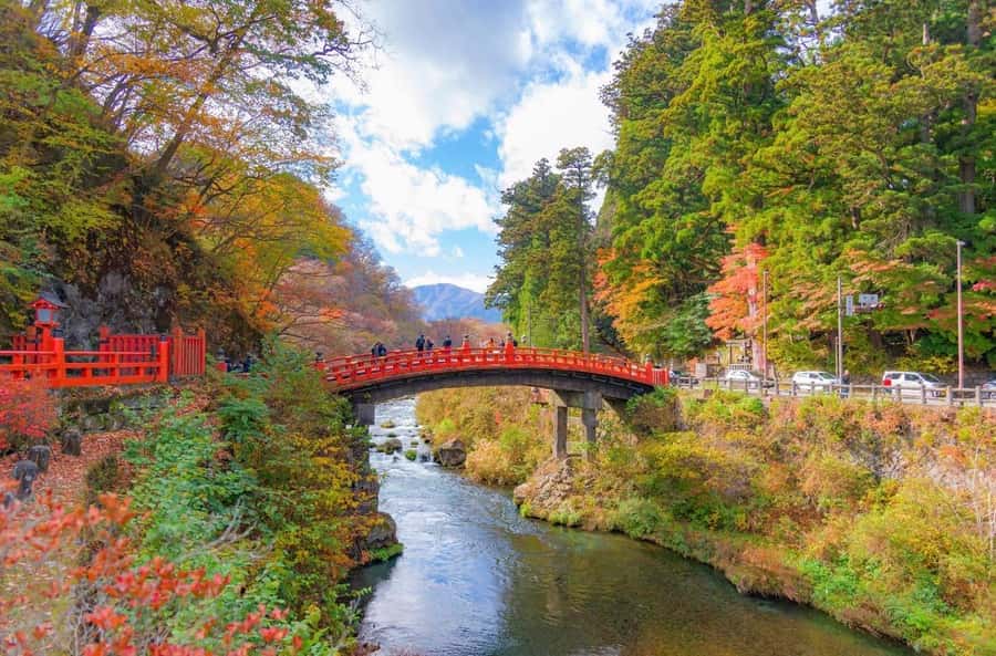 From Tokyo:Nikko World Heritage Customizable Tour with Guide - Introduction