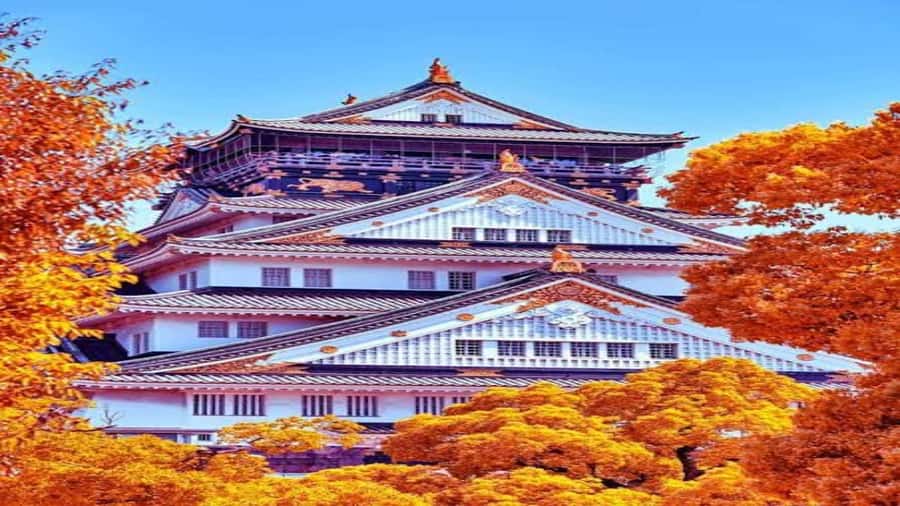 Osaka: Private Guided Tour with Customizable Itinerary - Key Points