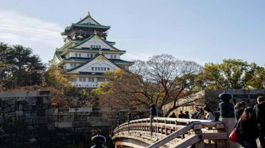 Osaka: Private Guided Tour with Customizable Itinerary - Authenticity and Local Flavor