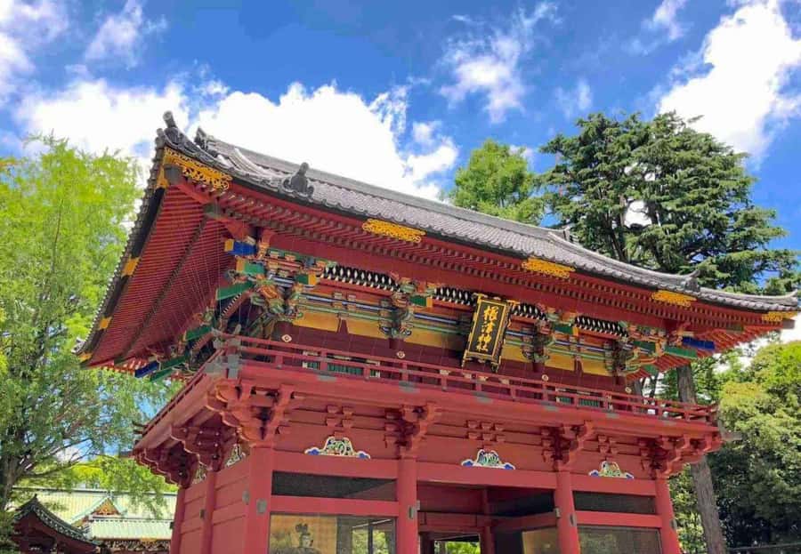 Tokyo: Tokyo Private Day Tour with English Speaking Guide - FAQs