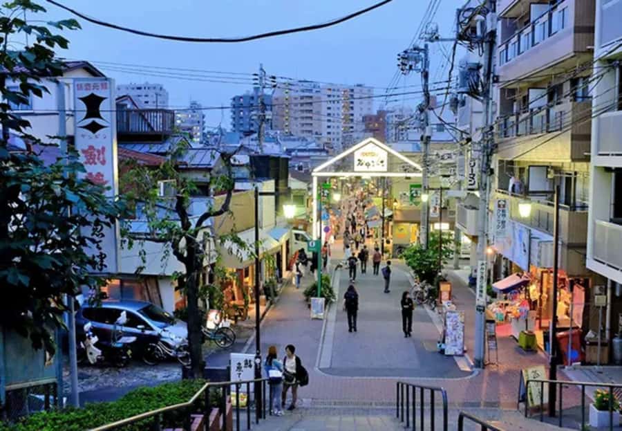 Tokyo: Tokyo Private Day Tour with English Speaking Guide - Final Thoughts