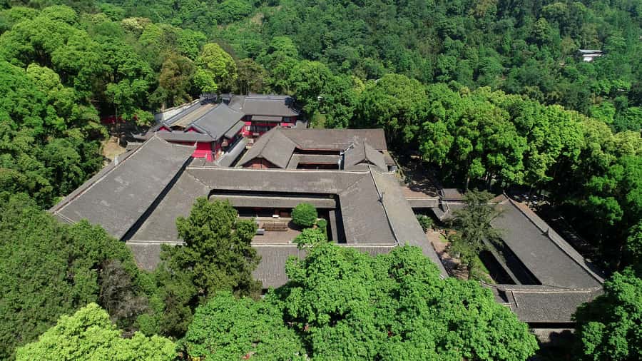 Leshan: Mount Emei Ticket - Discovering Mount Emei: An In-Depth Review