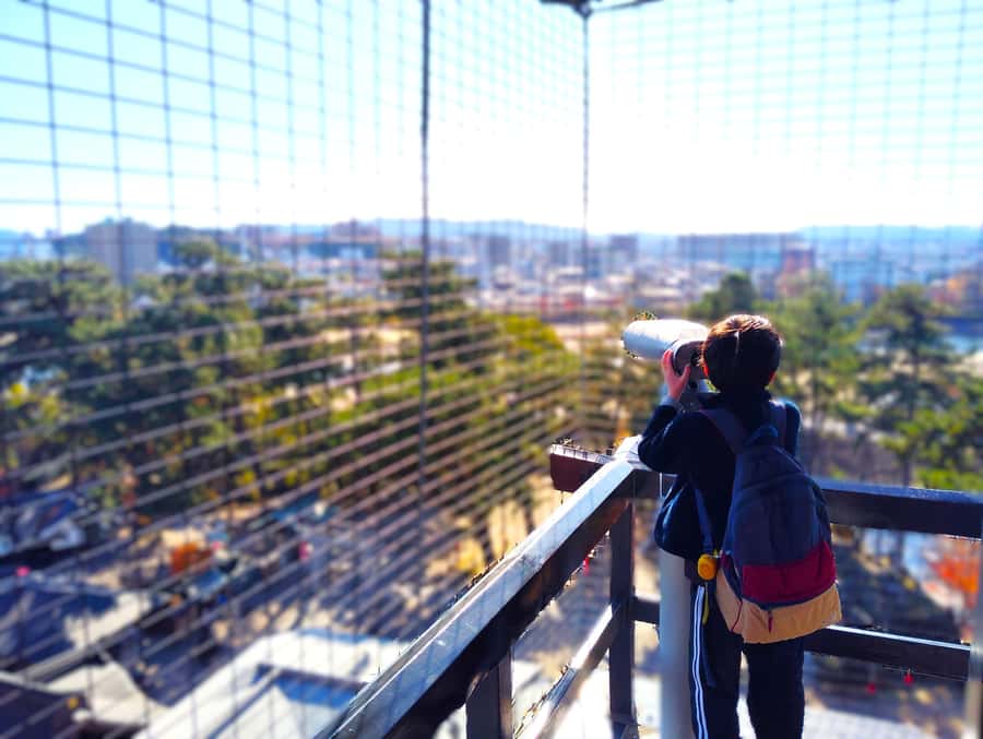 Okazaki: Tour of the Birthplace of Japans Greatest Shogun - Practical Details and Value