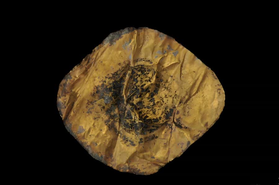 Chengdu: Jinsha Site Museum Ticket - Who Will Love This Tour?