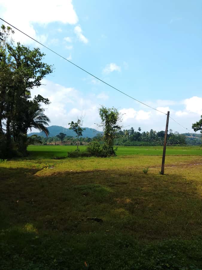 Polgampola Waterfall Tour by Tuk Tuks From Bentota area - Practical Tips for Your Trip