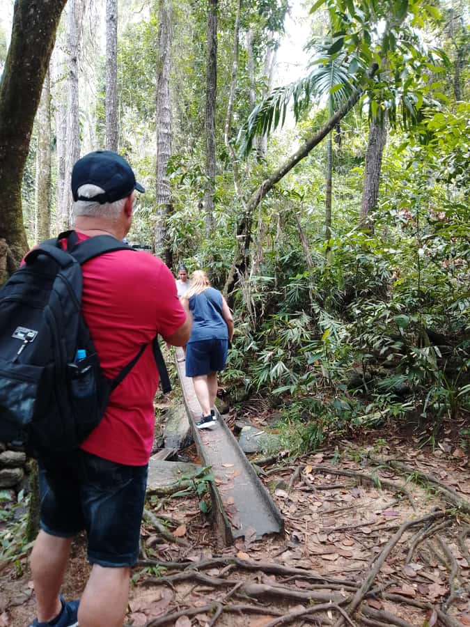 Polgampola Waterfall Tour by Tuk Tuks From Bentota area - Who Is This Tour Best Suited For?