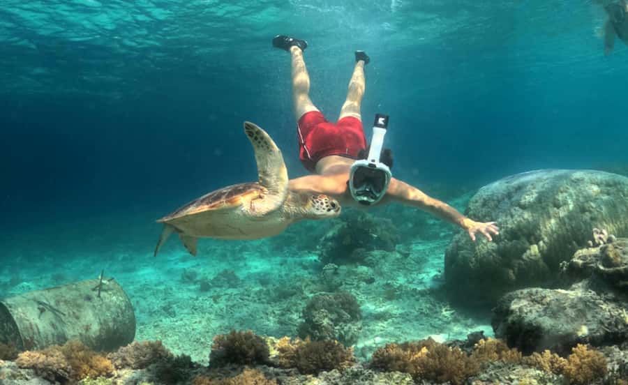 Mirissa: Night Snorkeling with Sea Turtles & Coral Reefs - The Itinerary: Simple and Well-Organized