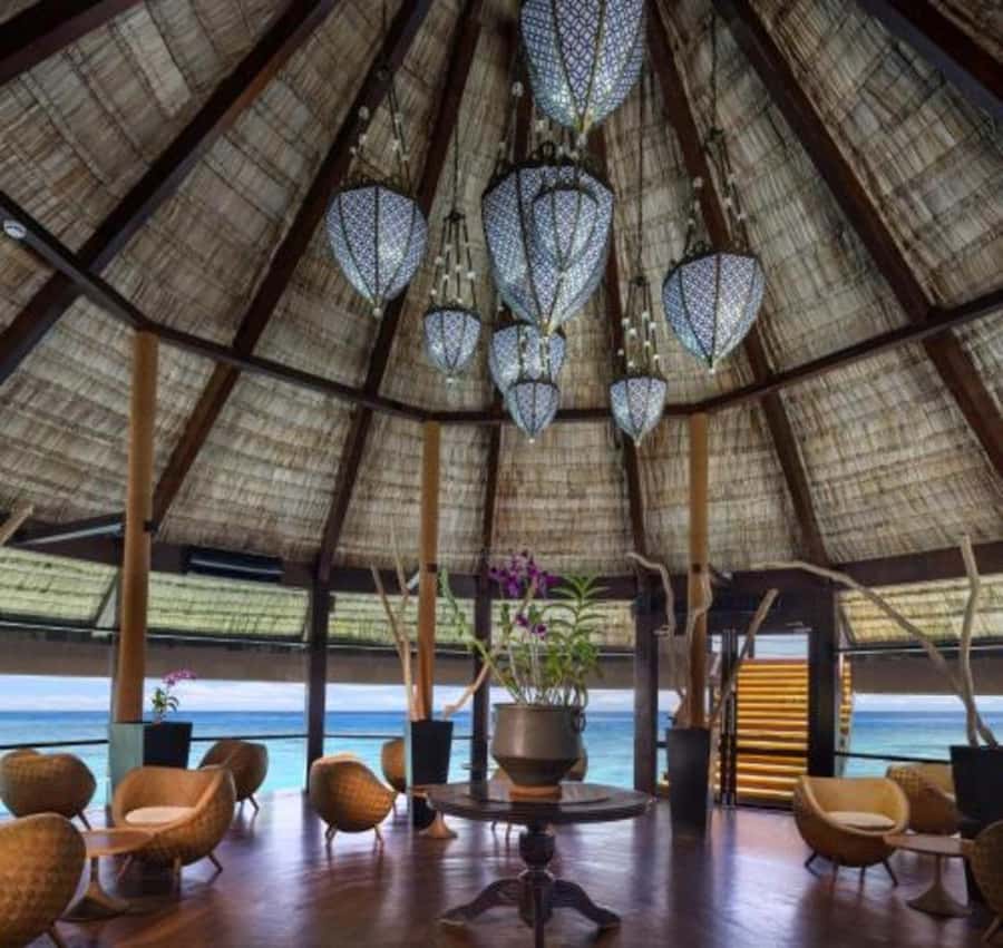 Maldives: Adhaaran Resort Day Pass with Lunch or Dinner - Introduction: A Taste of Maldivian Luxury in a Day