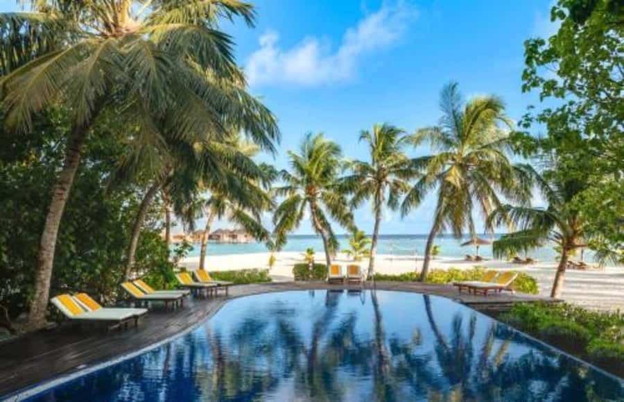 Maldives: Adhaaran Resort Day Pass with Lunch or Dinner - Deep Dive: The Details That Matter