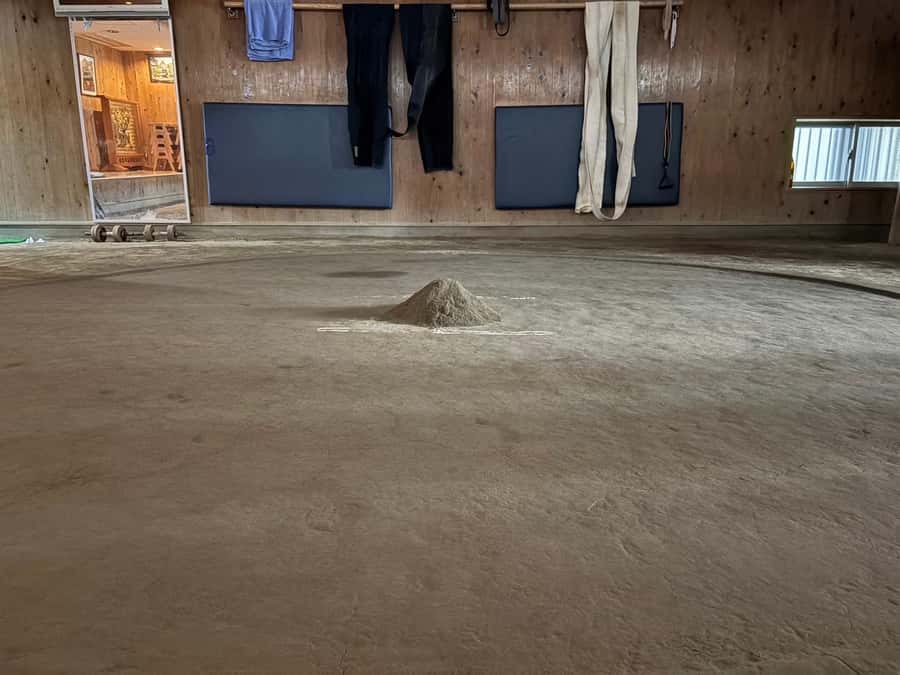 Tokyo: Sumo Wrestling Experience with Former Wrestlers - The Value and Unique Appeal