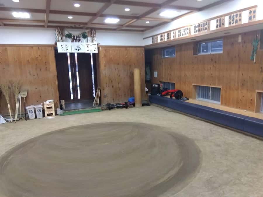 Tokyo: Sumo Wrestling Experience with Former Wrestlers - Final Words