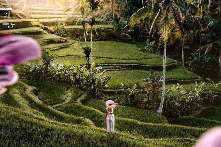 Ubud: 3-Day Tour with Sacred Monkey Forest Sanctuary. - Exploring Ubud: A Rich Tapestry of Culture and Nature