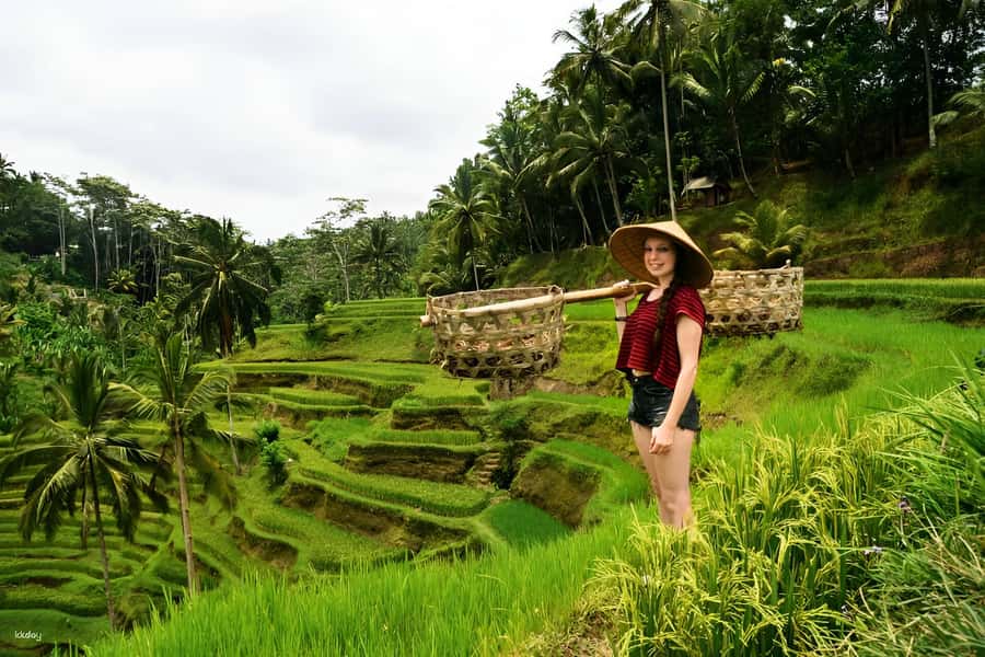 Ubud: 3-Day Tour with Sacred Monkey Forest Sanctuary. - Introduction