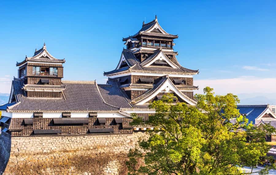 Fukuoka: Kumamoto Castle, Volcano, and Grasslands Day Trip - What to Prepare & Keep in Mind