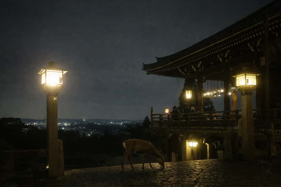 Nara After Dark: Sacred Deer, Lantern Walk with Hidden Views - Good To Know
