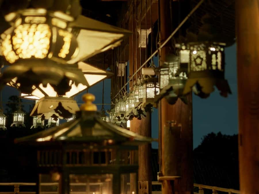 Nara After Dark: Sacred Deer, Lantern Walk with Hidden Views - In-Depth Look at the Experience