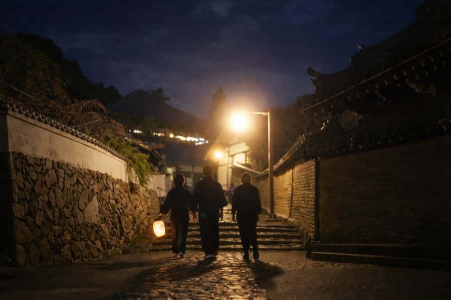 Nara After Dark: Sacred Deer, Lantern Walk with Hidden Views - Nara After Dark: Sacred Deer, Lantern Walk with Hidden Views – An Authentic Nighttime Escape