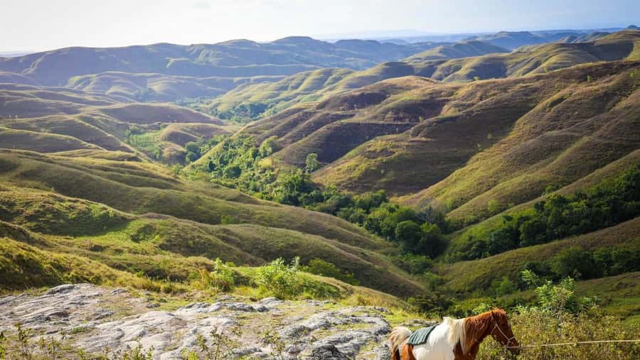 Nusa Penida: Private Nusa Penida Fullday Tour All includes - Transportation, Timing, and Group Size