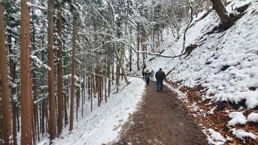 Tokyo: Snow Monkeys, Zenkoji Temple, & Obuse Day Trip - Practical Details and What You’ll Love