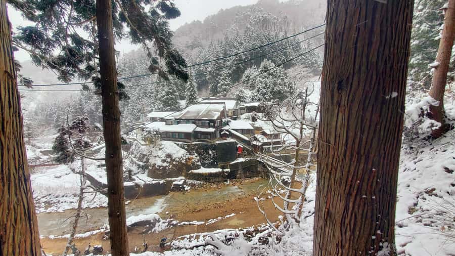 Tokyo: Snow Monkeys, Zenkoji Temple, & Obuse Day Trip - Who Would Love This Tour?