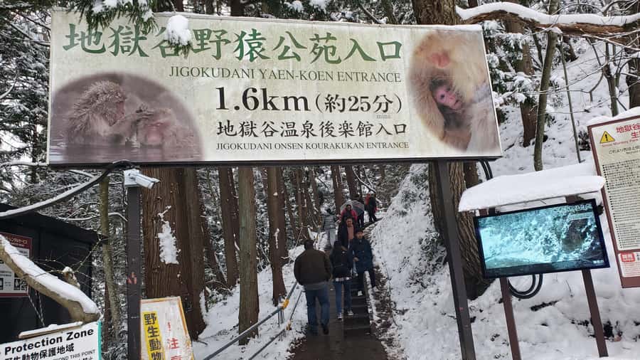 Tokyo: Snow Monkeys, Zenkoji Temple, & Obuse Day Trip - Good To Know
