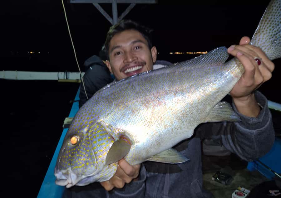 Traditional Fishing Trip in Bangsal Harbor, Lombok - Key Points