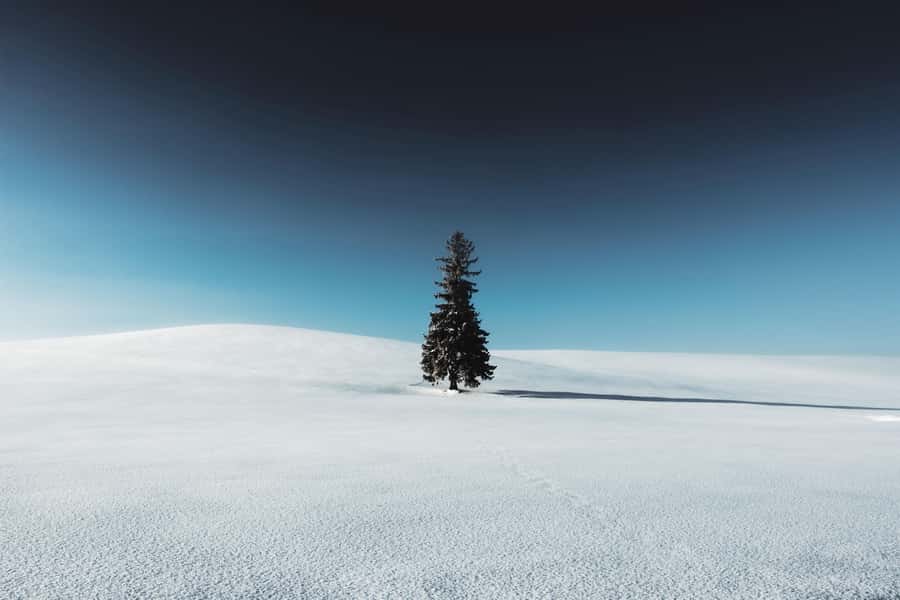 Sapporo: Biei Best 5 Must-Visit Day Tour (Late Departure) - Discovering Biei: A Visual Feast in Winter