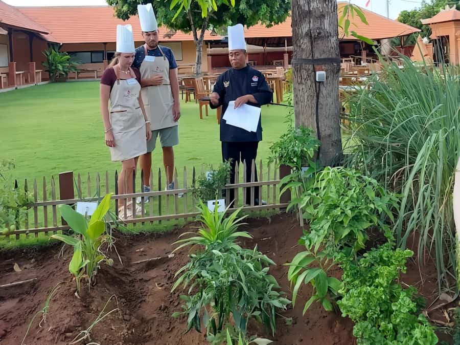 Nusa dua: Balinese Cooking Class with Herb Garden Visit - Why Choose This Cooking Class?