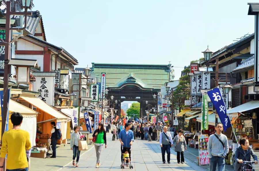 Nagano: Private snow monkey Tour in Luxury car - Practical Tips for Travelers