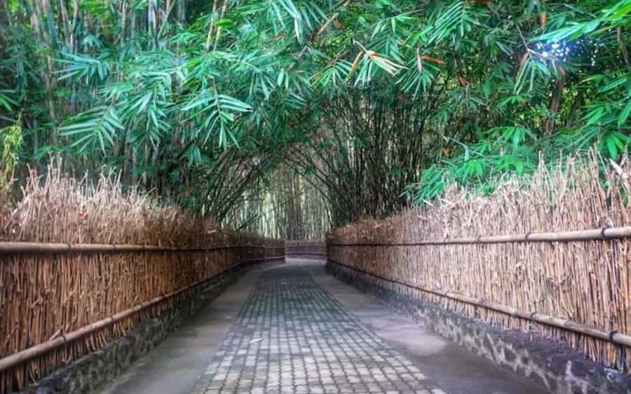 Bali: Traditional Batik & Life in Penglipuran Village - FAQ