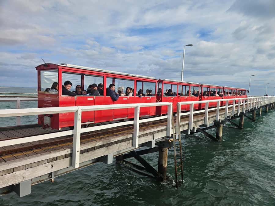 Perth: Busselton Jetty Full - Day Guided Tour - Exploring Nearby: Tasting, Wildlife, and More
