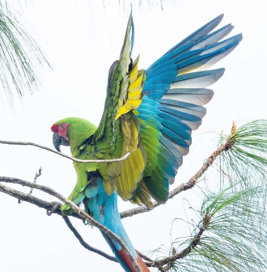 Puerto Vallarta: Botanical Garden & Tequila Tasting Tour - What to Expect & Practical Details