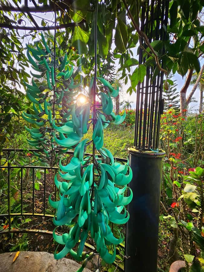 Puerto Vallarta: Botanical Garden & Tequila Tasting Tour - Who Will Love This Tour?