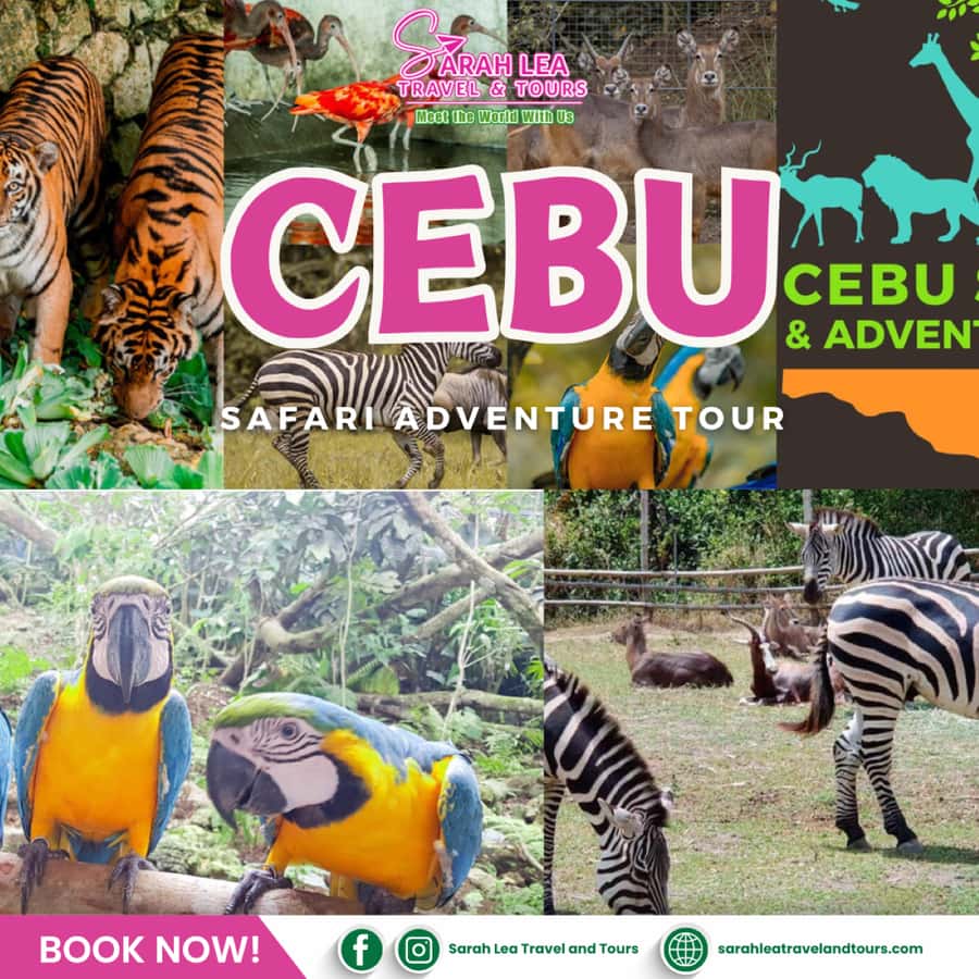 Cebu: Wildlife & Adventure Safari Experience - Good To Know