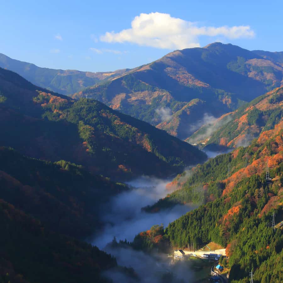 Tokyo: Nikko National Park Private Tour Hotel Pickup & Drop - Who Should Consider This Tour?
