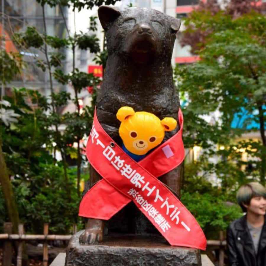 Tokyo City Private Tour Visit Skytree Senso-ji, Meiji Shrine - Who Is This Tour Best For?