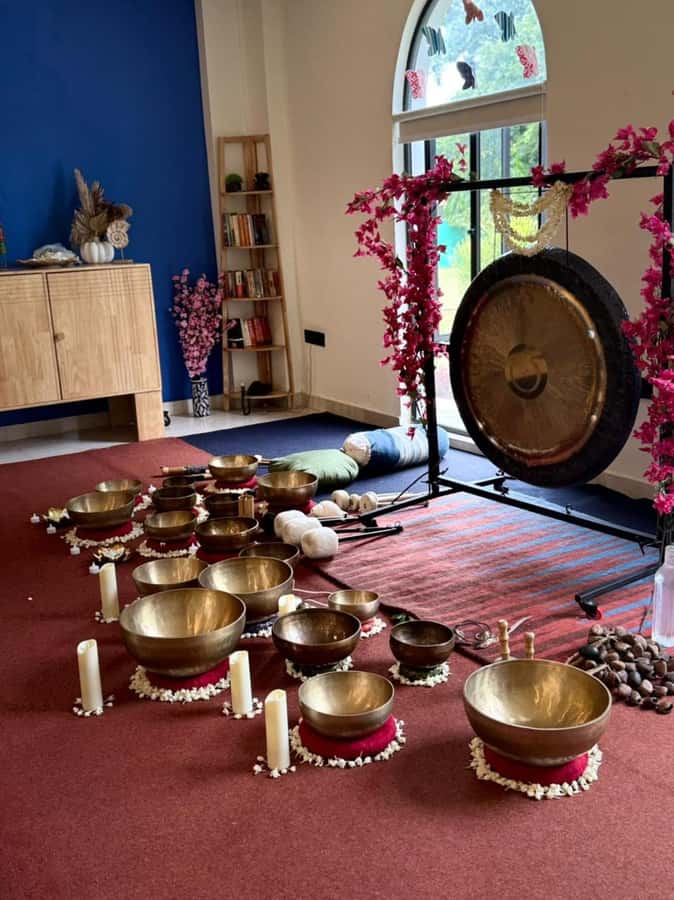 Delhi: Sound Bath Experience with Hotel Pickup - Who Should Book This Tour?