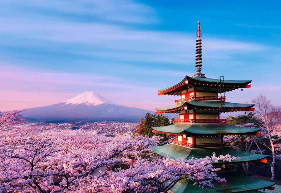 From Tokyo: Mount Fuji customizable Private Tour with Guide - How the Day Unfolds