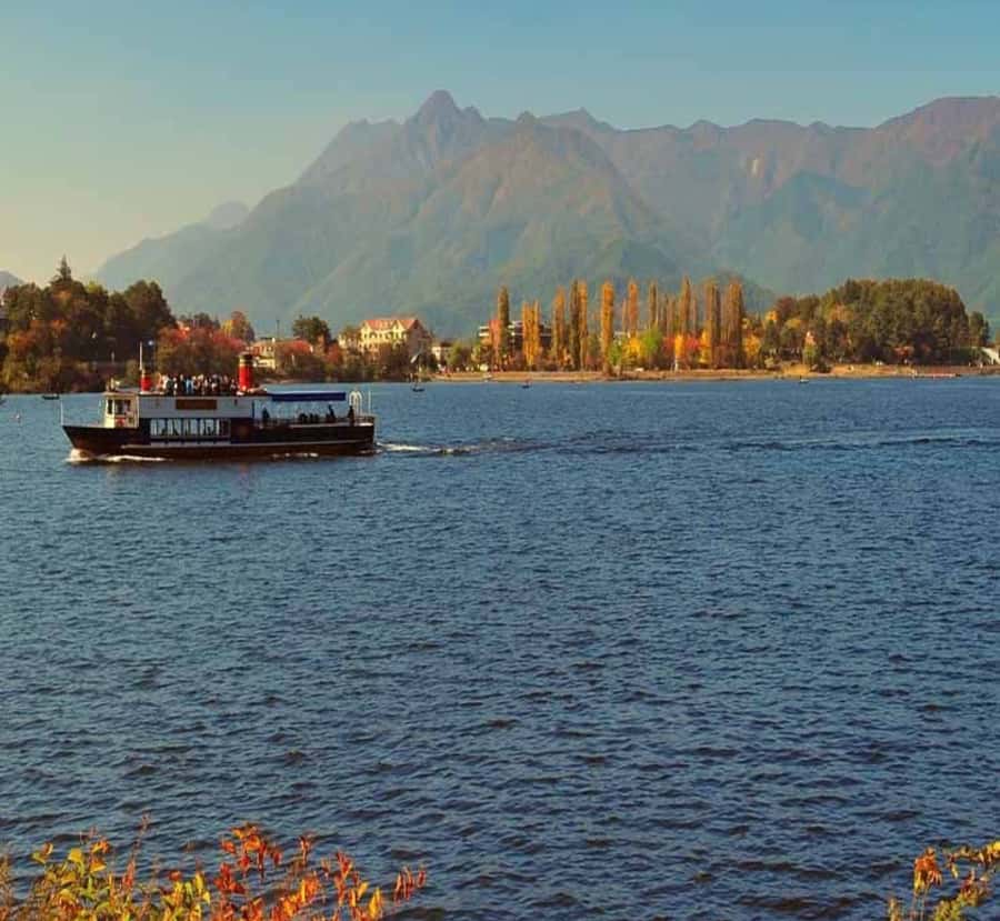 From Tokyo: Mount Fuji customizable Private Tour with Guide - Who Is This Tour Best For?