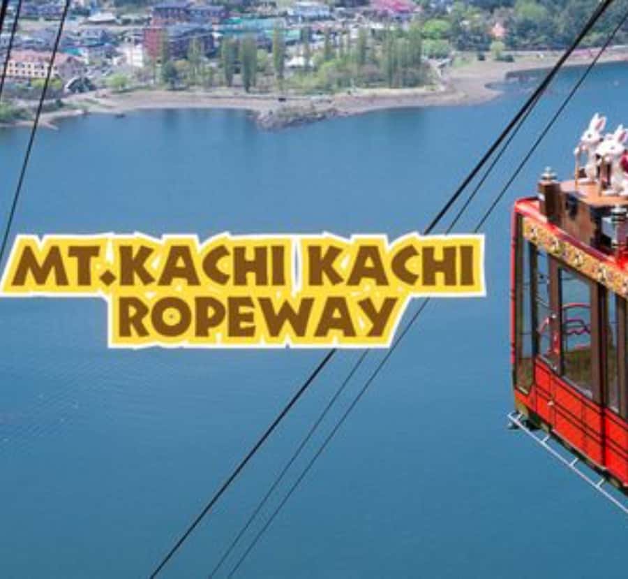 From Tokyo: Mount Fuji customizable Private Tour with Guide - FAQs