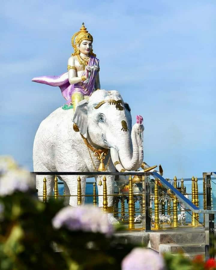 Kandy city tour and village tour in one day - Key Points