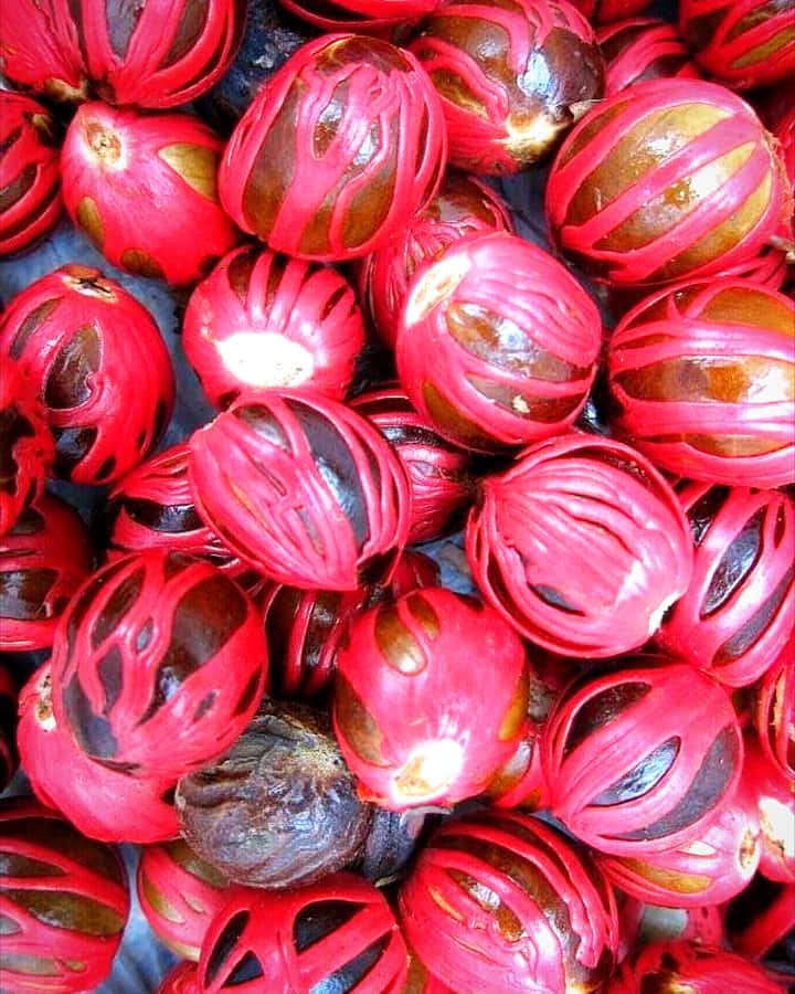 Kandy city tour and village tour in one day - FAQ