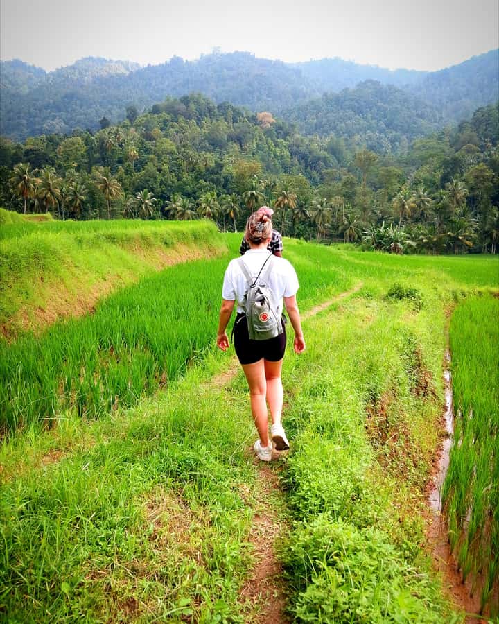 Kandy city tour and village tour in one day - Exploring Kandy and Its Village in One Day: A Practical and Authentic Review