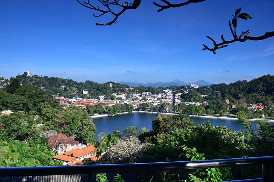 From Kandy : Pinnawala & Ambuluwawa Tower Tuk Tuk Tour - Key Points