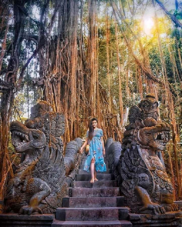 Best of Ubud Tour with a Female Local Guide - Practical Details and Tips