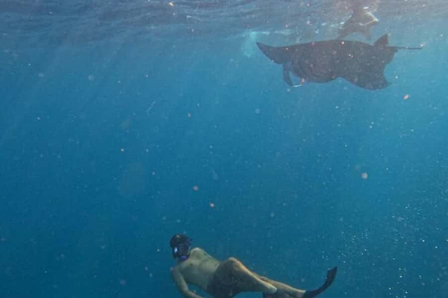 Nusa Penida: Manta Point Snorkeling with Lunch and Pick Up - Practical Insights & Tips