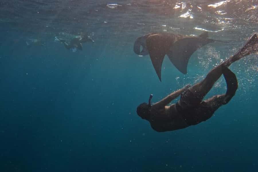 Nusa Penida: Manta Point Snorkeling with Lunch and Pick Up - Key Points