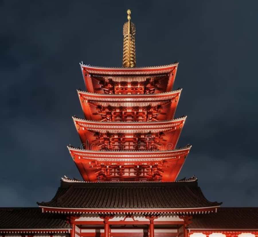 Tokyo Full Day Customizable Private Tour with English Guide - Why This Tour Stands Out