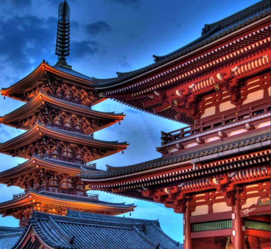 Tokyo Full Day Customizable Private Tour with English Guide - A Deep Dive into the Itinerary